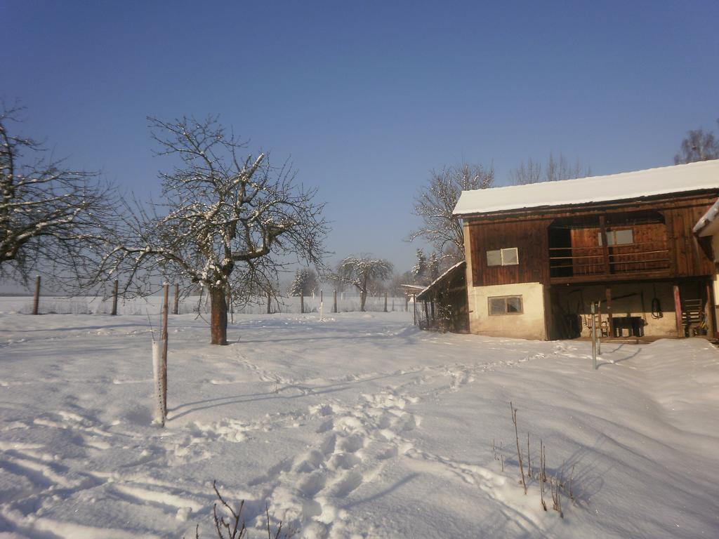 Familiehuis Fuchs Horni Branna Exterior photo